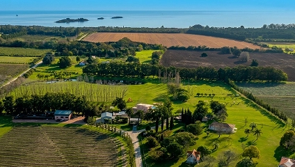 Finca del Sacramento