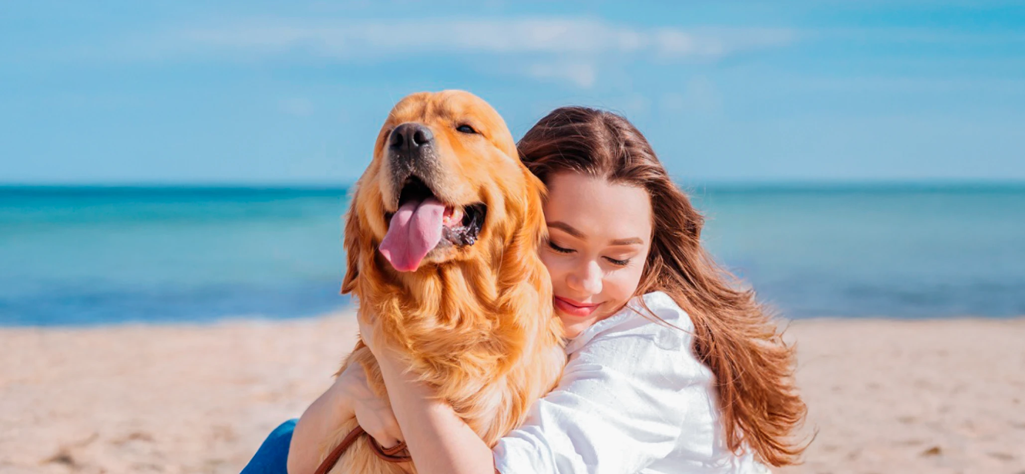 /link/80d0469fbb784295a551f79b4cf87764.aspx