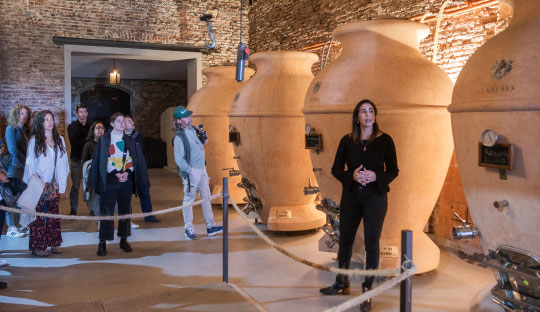 Salon de degustacion de vinos en cerros de san juan, colonia del sacramento - colonia express