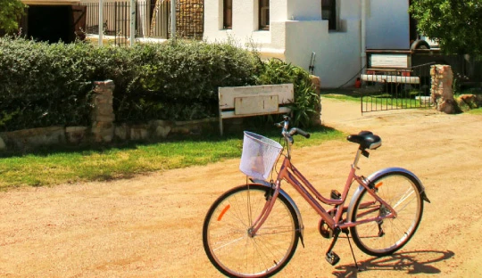 Colonia en bicicleta