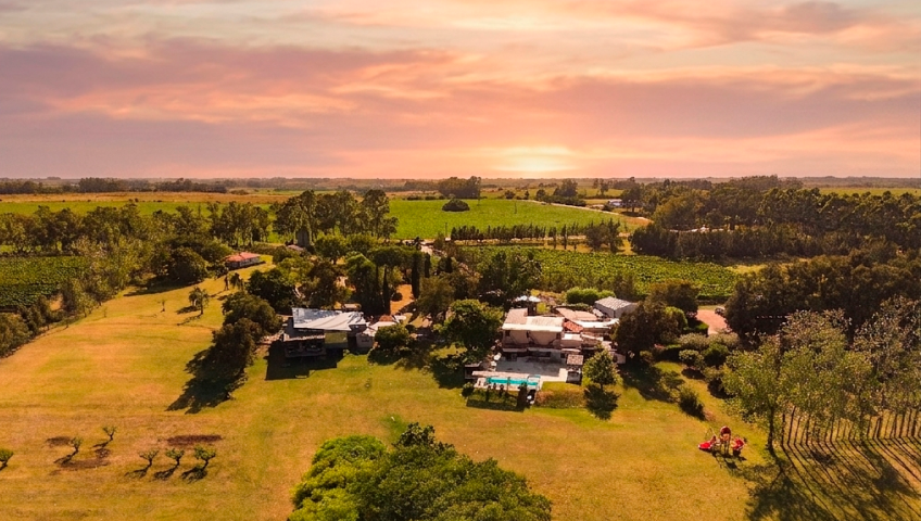 Día de Campo