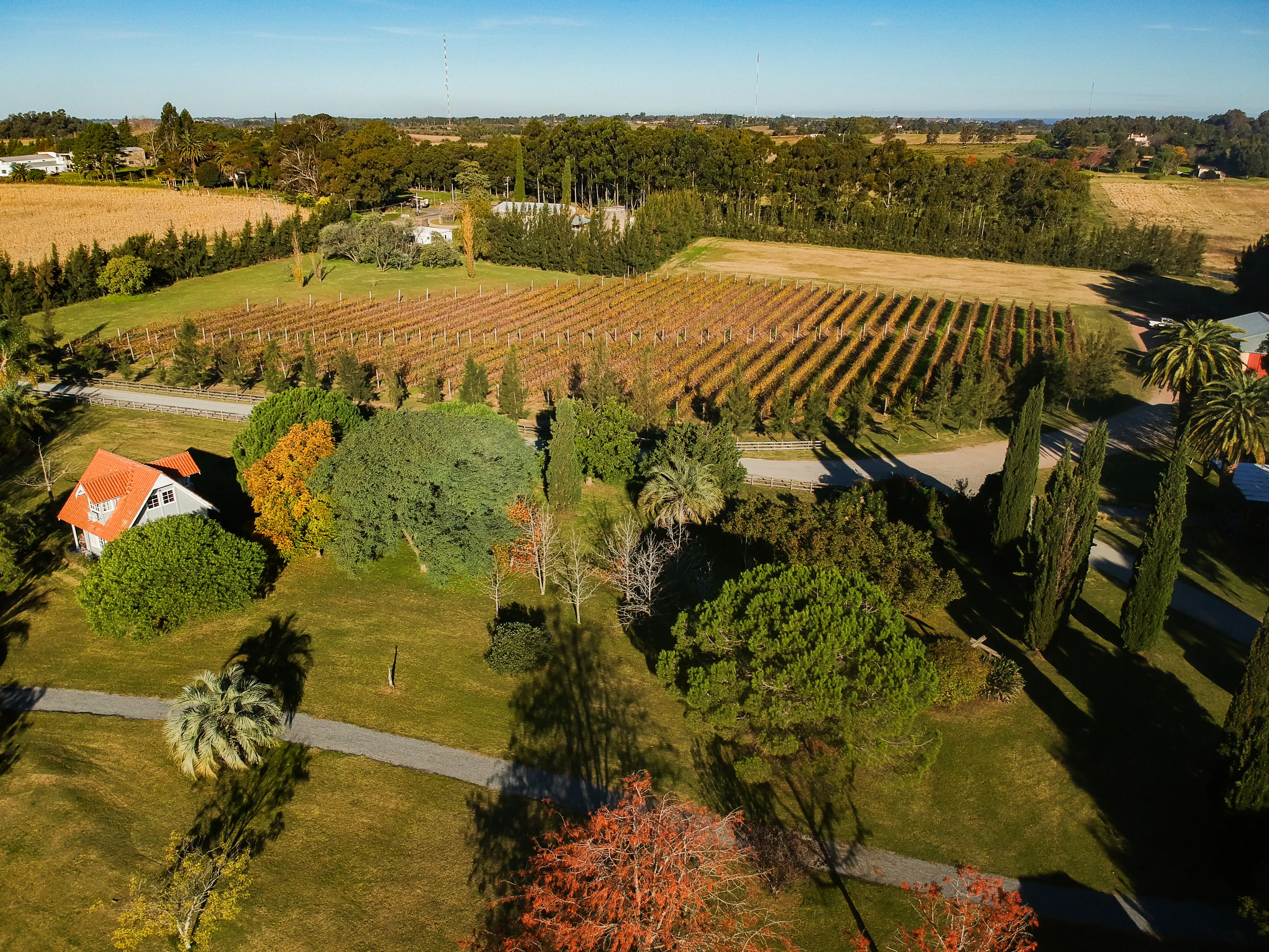 Finca del Sacramento