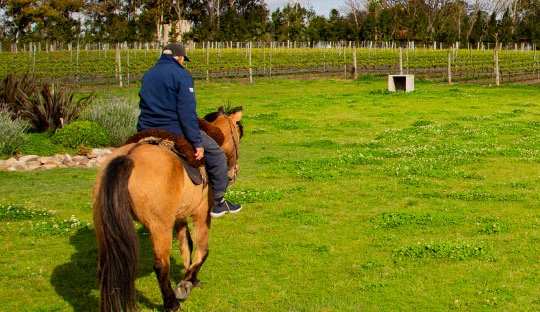 Cabalgata en Finca del Sacramento