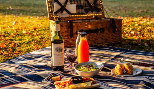 Picnic Gourmet en Finca del Sacramento