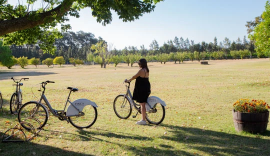 bicicleta_finca_del_sacramento.webp